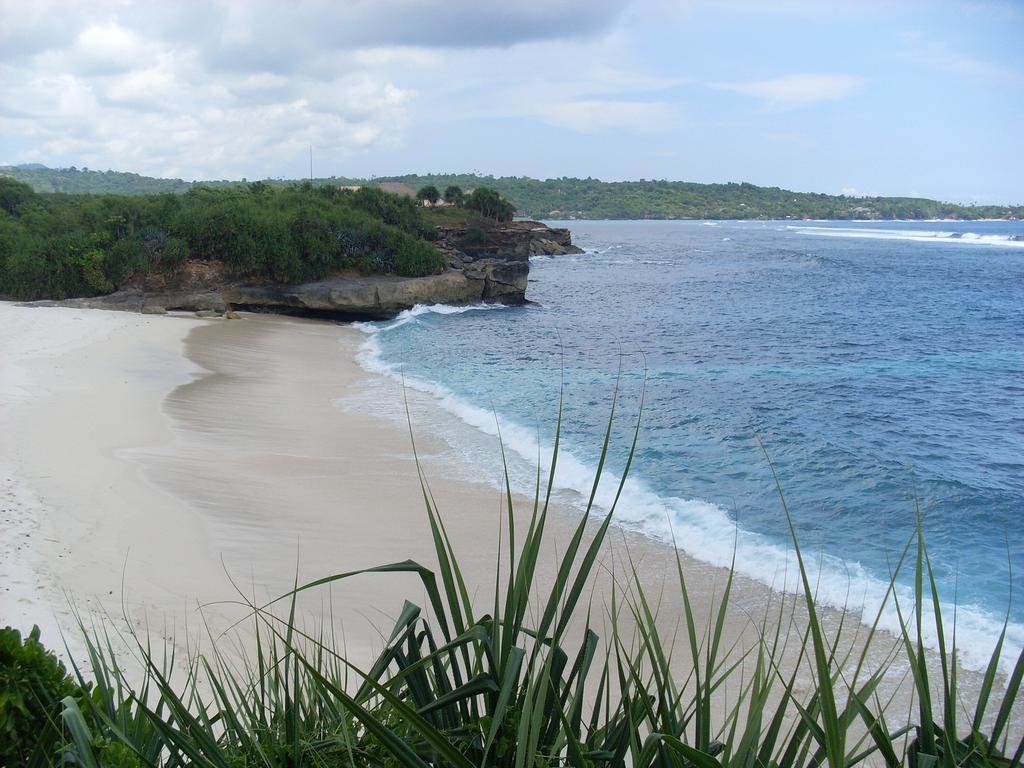 Villa Waru *
